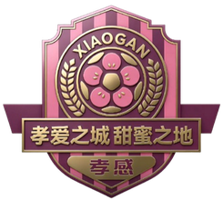 襄陽隊